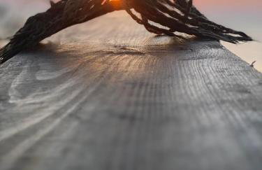 Czarna Perła - Foto 40