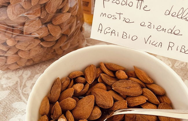 AgriBio Villa Ribes - Foto 36