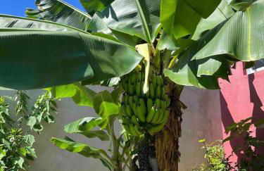 São Francisco do Sul, SC, Praia do Forte. - Foto 48