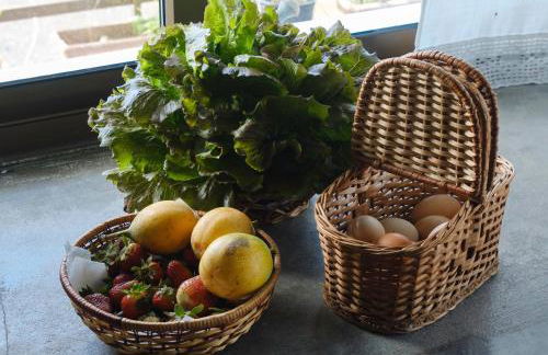 Casa das Hortências by Azoresrent - Photo 12