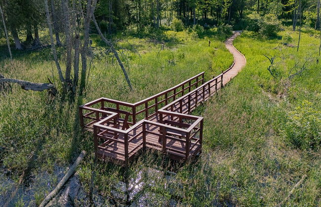 The Rushes - Foto 54