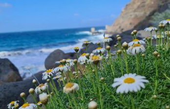 CASA RURAL ANTIGUA ESCUELA I - Foto 19