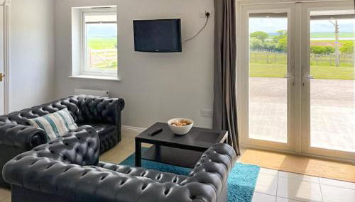 Ivy No1 - Uk49251 - Foto 2