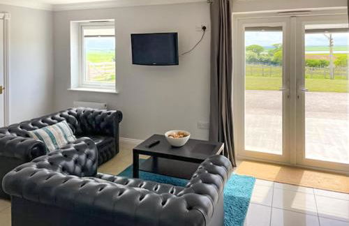 Ivy No1 - Uk49251 - Foto 2