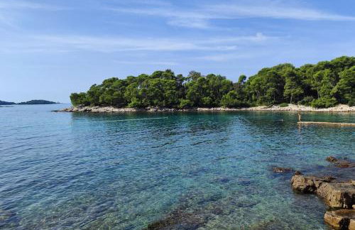 Apartment Nilema Rovinj - Photo 54