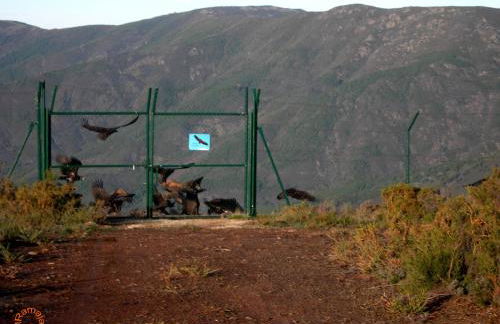 Ramajal Rural - Foto 34