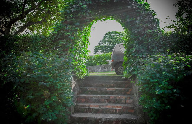 Renee House - Foto 45