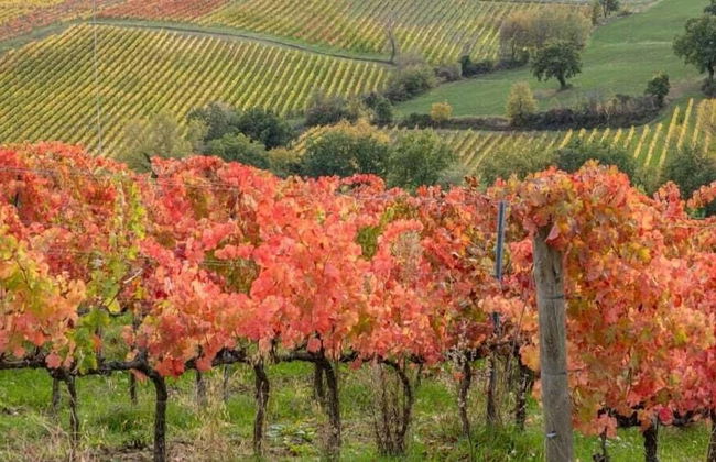 Il Fienile di Assisi - Foto 36