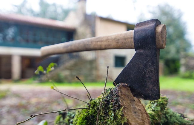 Casa do Cribeiro - Photo 46