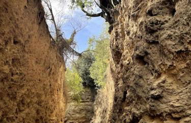 Casa Cerrajero - Photo 31