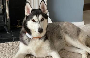 The Long Hall 2 bed ground floor annexed apartment - sleeps 6 - Foto 26