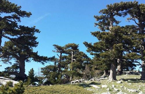 Tana di Zia Nature, Yourself, Love - Foto 35