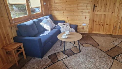 Domki pod Brzozą - Foto 3