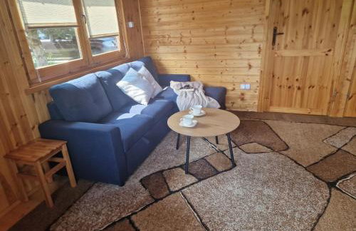 Domki pod Brzozą - Foto 3