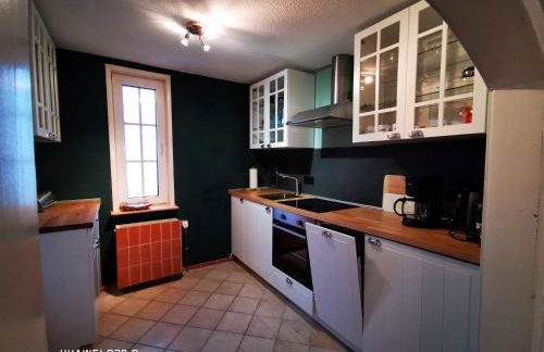 Ferienhaus Rennsteig-Wander-Mountainbike und Langlaufparadies - Foto 9