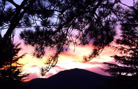 La Holandesa - Foto 41