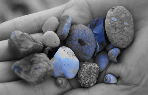 Fördekoje - Foto 20