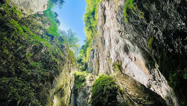 Day Trip to Seven Ladders Canyon - Foto 2