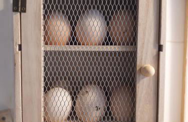 Cal Toni de Vilallobent - Foto 22