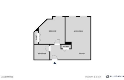 Gold Coast 1BR w Doorman Gym 2 blocks to L CHI-549 - Photo 12