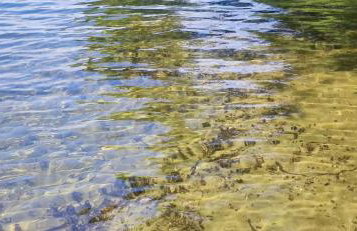 Piotiwo D1 - Foto 17