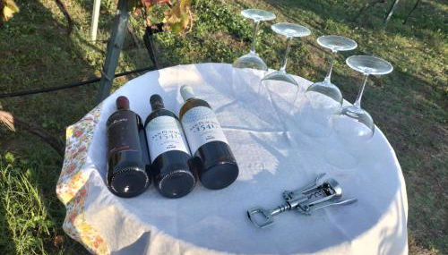 Etnasentieri Wine house on Etna mount - Foto 2