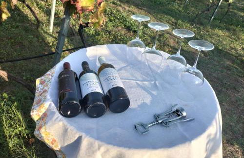 Etnasentieri Wine house on Etna mount - Foto 2