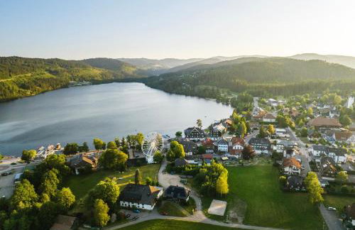 Balkon mit Schwarzwaldblick, Hunde frei, Tischfußball, Parkplatz, familienfreundlich - Foto 27
