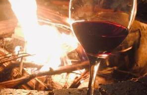 Propriedade inteira e Kombi-home em meio à mata - Foto 14