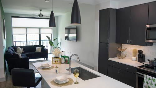 The Greenleaf Getaway Near NRG Stadium - Foto 4