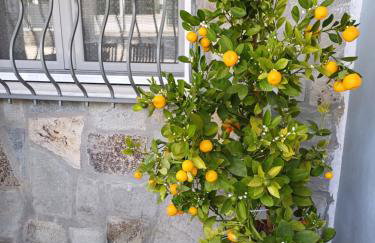 Bella Gaia - Foto 20