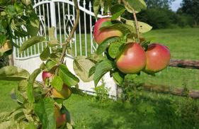 Gîte Esprit Mer - Foto 16