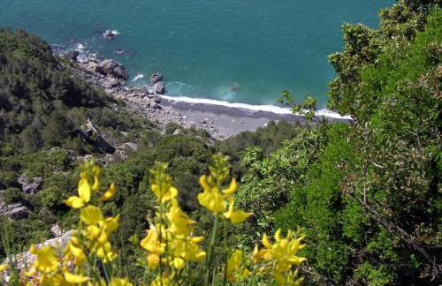 Il Porticciolo di Bocca di Magra House - Foto 19