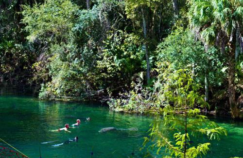 Lakeside Paradise - Foto 38