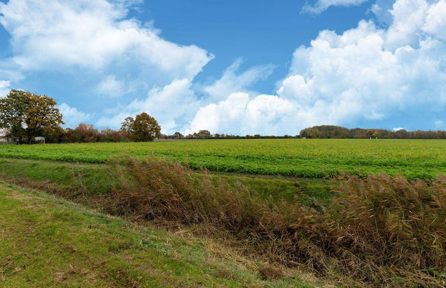 Holiday Home Near Scherpenisse Beach - Foto 43