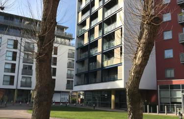 California Building - Foto 15