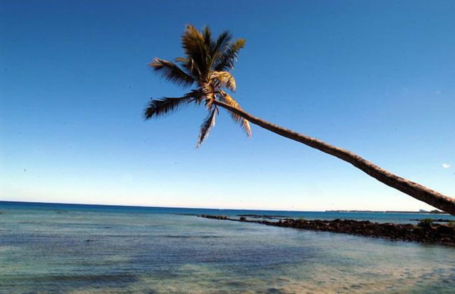 Ocean Beach Villa - Photo 43