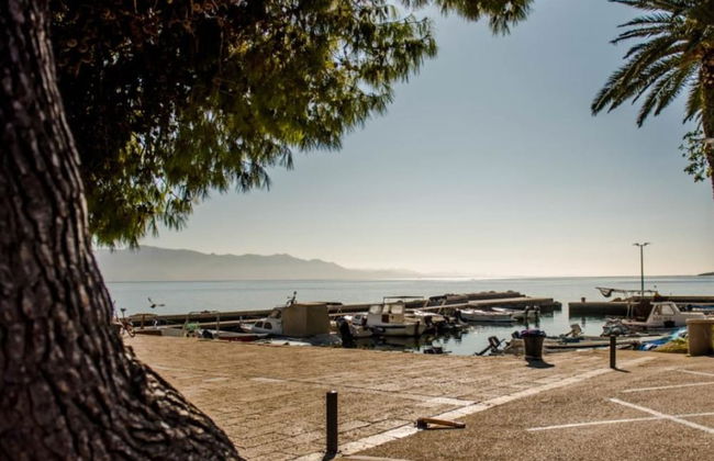 Apartmani Martinović - Foto 23