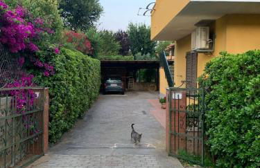 Casa Burano-Relax in Terrazza tra mare e natura - Foto 34