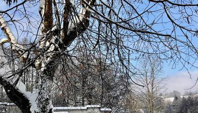 Design Ferienwohnung mit Bauerngarten - Foto 2