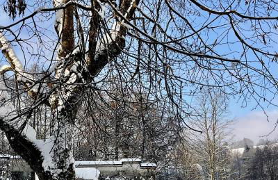 Design Ferienwohnung mit Bauerngarten - Foto 2