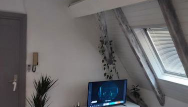 duplex aux portes de Strasbourg tram 100m - Foto 2