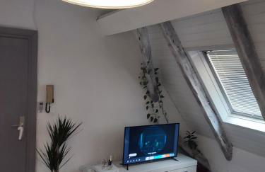 duplex aux portes de Strasbourg tram 100m - Foto 2