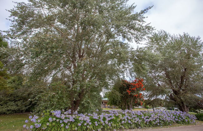 Forrest Holiday Park - Photo 35