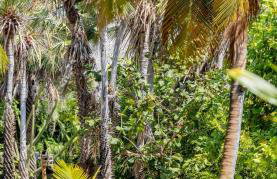 Refugios Parajuru - Pavilhão - Photo 39