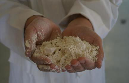 Fattoria Didattica Le Torte - Photo 9