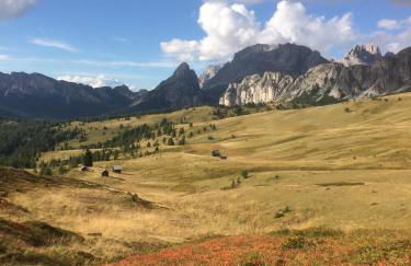 la fusinela - Foto 19