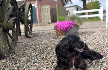 Gut Bennewohld - Photo 34