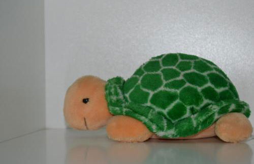 Casa Tartaruga - Foto 33