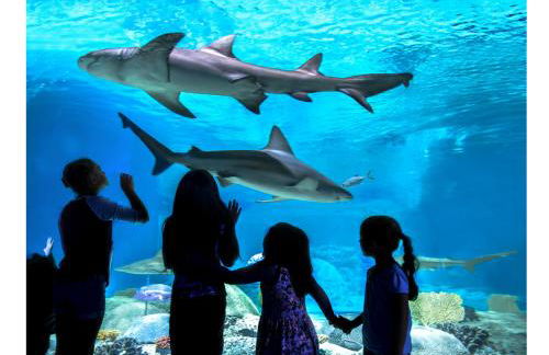 Renovated private in the heart of Old Town Scottsdale, pool & hot tub, outdoor bar & kitchen, walk to shops & bars - Foto 44